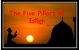 Five Pillars of Islam - DS113