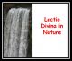Lectio of Nature - DS183e
