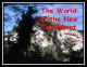 World of New Testament - DS186