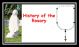 History of the Rosary - DS191e