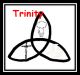 Trinity - DS201