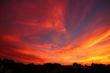 Reconciling God, Creation and Humanity